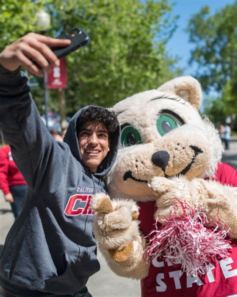 Already Applied — Chico State .